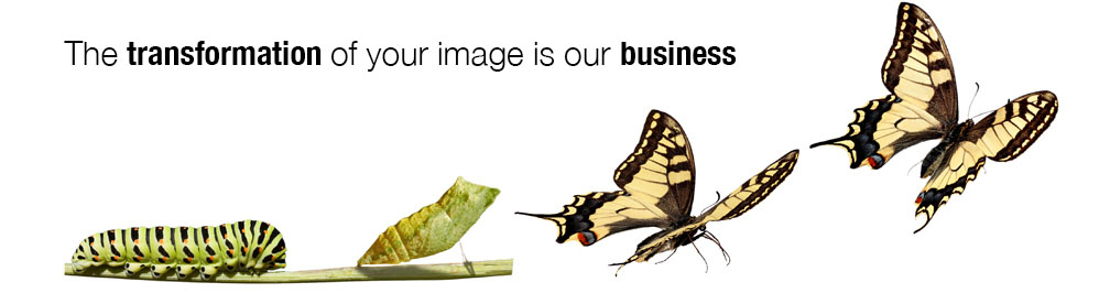 bts_banner_butterfly